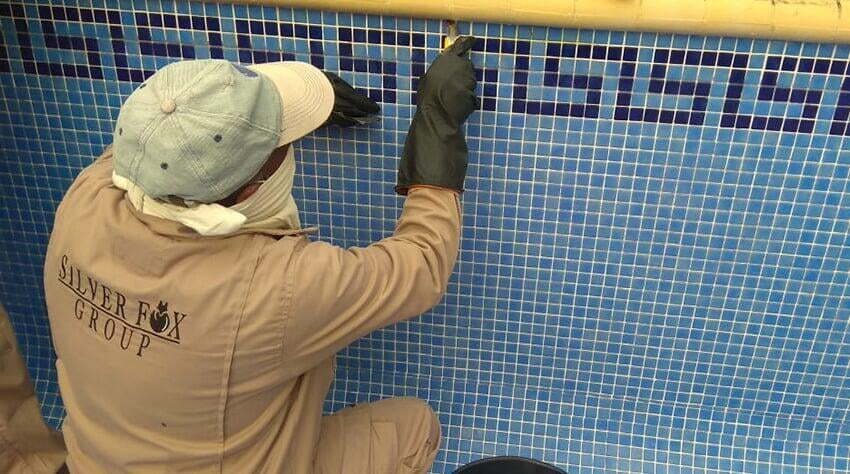 ProPoolPro service image
